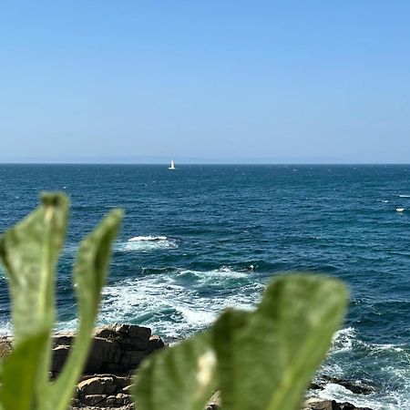 Hotel Melia Mar à Sozopol Extérieur photo
